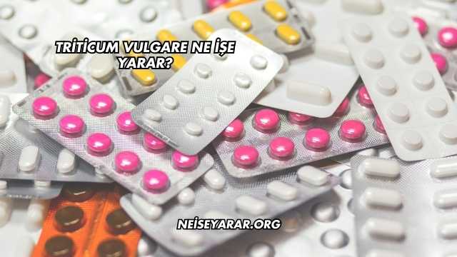 Triticum Vulgare Ne İşe Yarar?