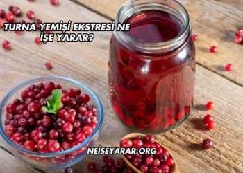 Turna Yemişi Ekstresi Ne İşe Yarar?