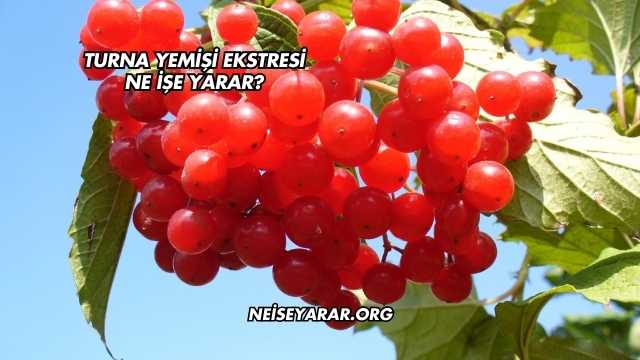Turna Yemişi Ekstresi Ne İşe Yarar?