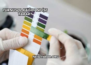 Turnusol Kağıdı Ne İşe Yarar?