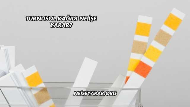 Turnusol Kağıdı Ne İşe Yarar?