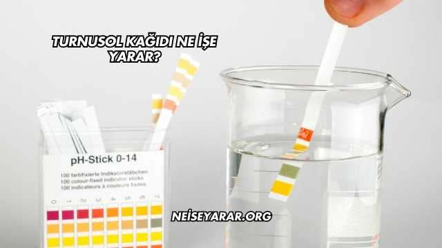 Turnusol Kağıdı Ne İşe Yarar?