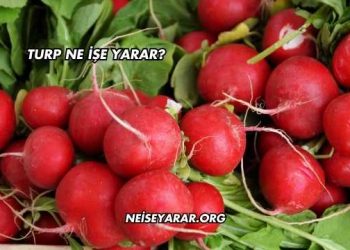 Turp Ne İşe Yarar?