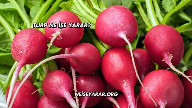 Turp Ne İşe Yarar?