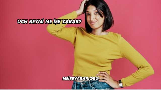 Uch Beyni Ne İşe Yarar?