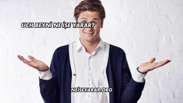 Uch Beyni Ne İşe Yarar?