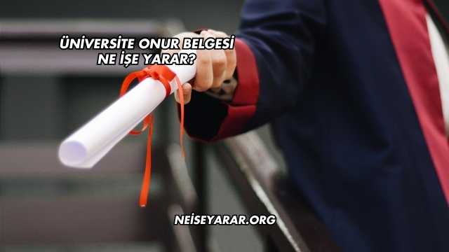 Üniversite Onur Belgesi Ne İşe Yarar?