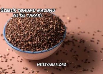 Üzerlik Tohumu Macunu Ne İşe Yarar?