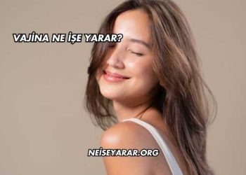 Vajina Ne İşe Yarar?