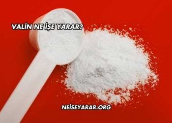 Valin Ne İşe Yarar?