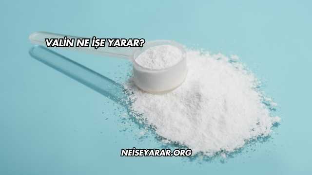 Valin Ne İşe Yarar?