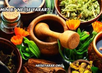 Vitamin B7 Ne İşe Yarar?