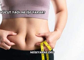 Vücut Yağı Ne İşe Yarar?