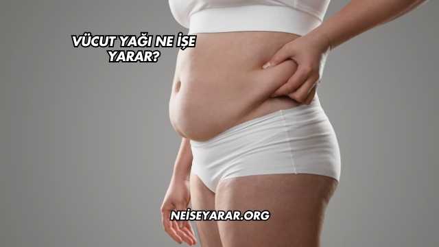 Vücut Yağı Ne İşe Yarar?