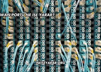 Wan Portu Ne İşe Yarar?