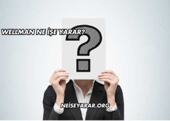Wellman Ne İşe Yarar?