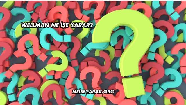 Wellman Ne İşe Yarar?