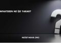Whatseen Ne İşe Yarar?