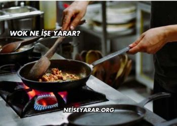 Wok Ne İşe Yarar?