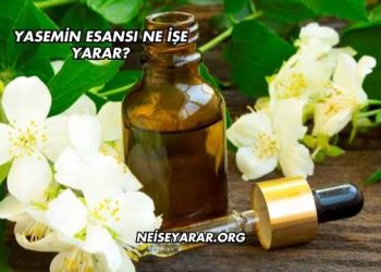 Yasemin Esansı Ne İşe Yarar?