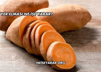 Yer Elması Ne İşe Yarar?