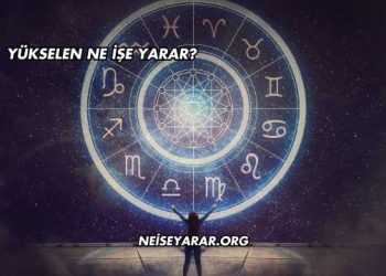 Yükselen Ne İşe Yarar?