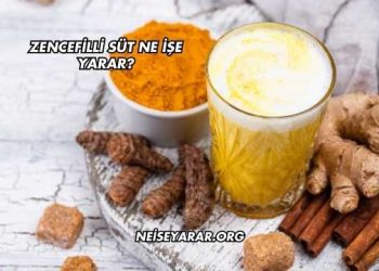 Zencefilli Süt Ne İşe Yarar?