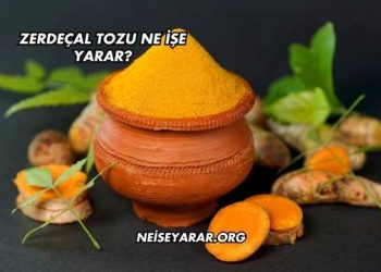 Zerdeçal Tozu Ne İşe Yarar?
