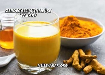 Zerdeçallı Süt Ne İşe Yarar?