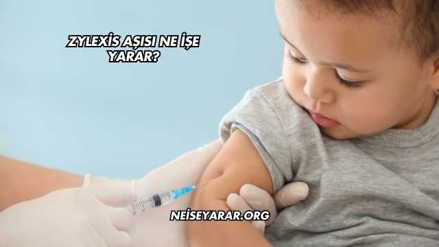 Zylexis Aşısı Ne İşe Yarar?