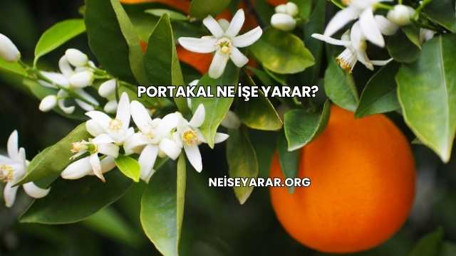 Portakal Ne İşe Yarar?