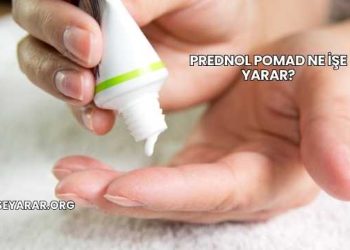 Prednol Pomad Ne İşe Yarar?