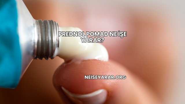 Prednol Pomad Ne İşe Yarar?