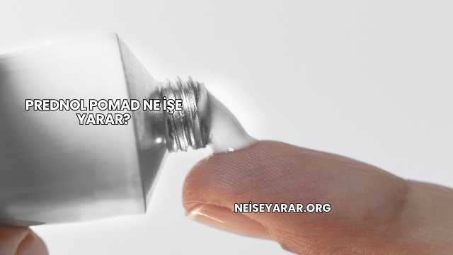 Prednol Pomad Ne İşe Yarar?