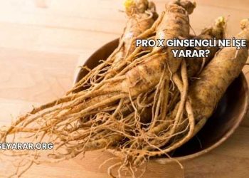 Pro X Ginsengli Ne İşe Yarar?