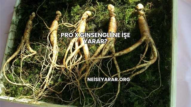 Pro X Ginsengli Ne İşe Yarar?