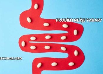 Probien Ne İşe Yarar?