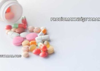 Probiomax Ne İşe Yarar?