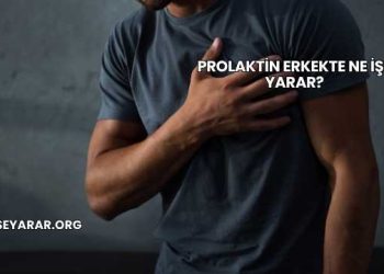 Prolaktin Erkekte Ne İşe Yarar?