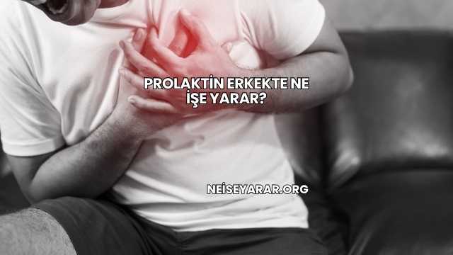 Prolaktin Erkekte Ne İşe Yarar?