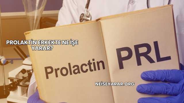 Prolaktin Erkekte Ne İşe Yarar?