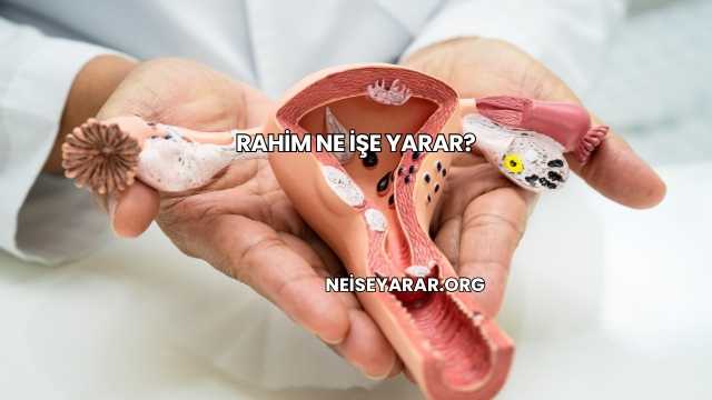 Rahim Ne İşe Yarar?