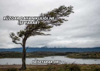 Rüzgar Dayanıklılığı Ne İşe Yarar?