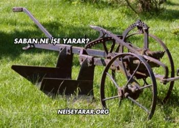 Saban Ne İşe Yarar?