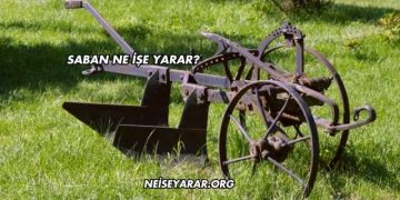 Saban Ne İşe Yarar?
