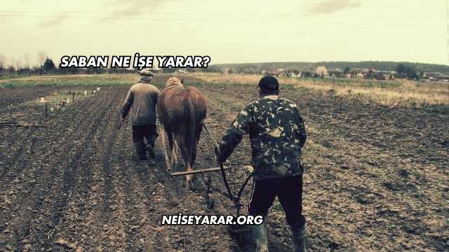 Saban Ne İşe Yarar?