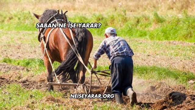 Saban Ne İşe Yarar?