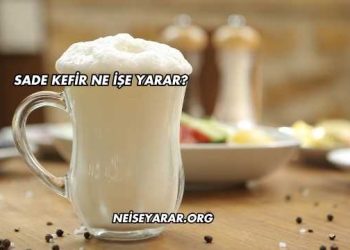 Sade Kefir Ne İşe Yarar?