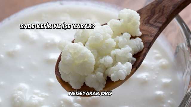 Sade Kefir Ne İşe Yarar?