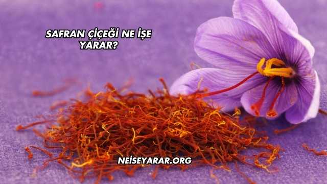 Safran Çiçeği Ne İşe Yarar?